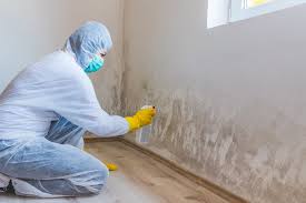 Best Mold Damage Restoration  in Woodlynne, NJ